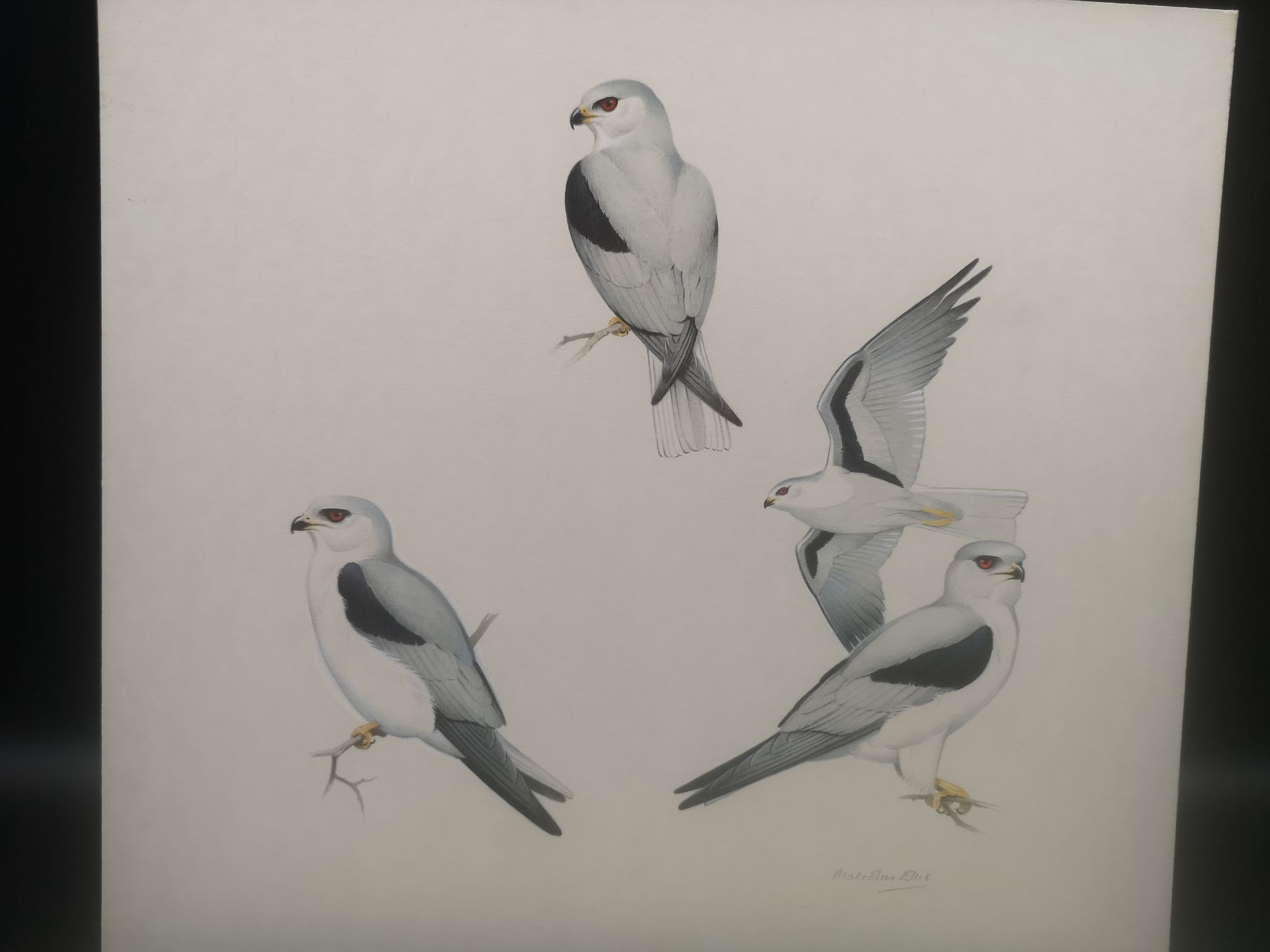 Malcolm Ellis, three watercolours - Image 2 of 6