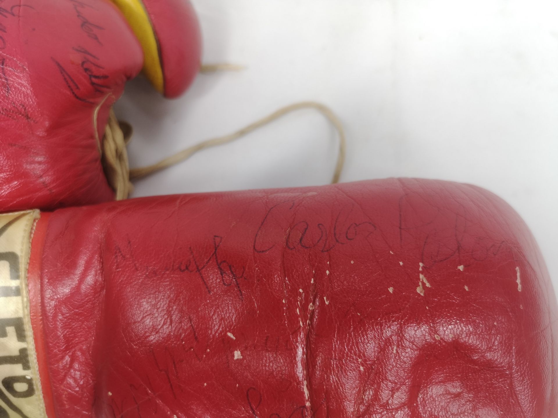 Pair of signed Cleto Reyes boxing gloves with approximately 17 signatures. - Image 7 of 9