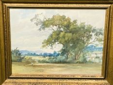 Framed and glazed watercolour signed McCulloch Robertson