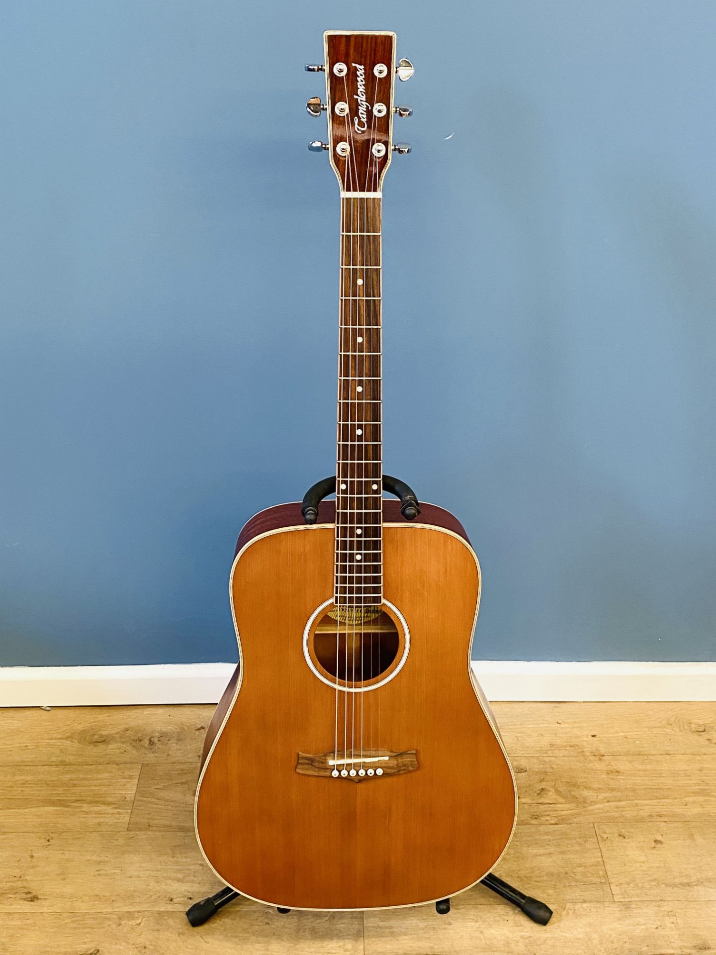 Tanglewood Evolution acoustic guitar