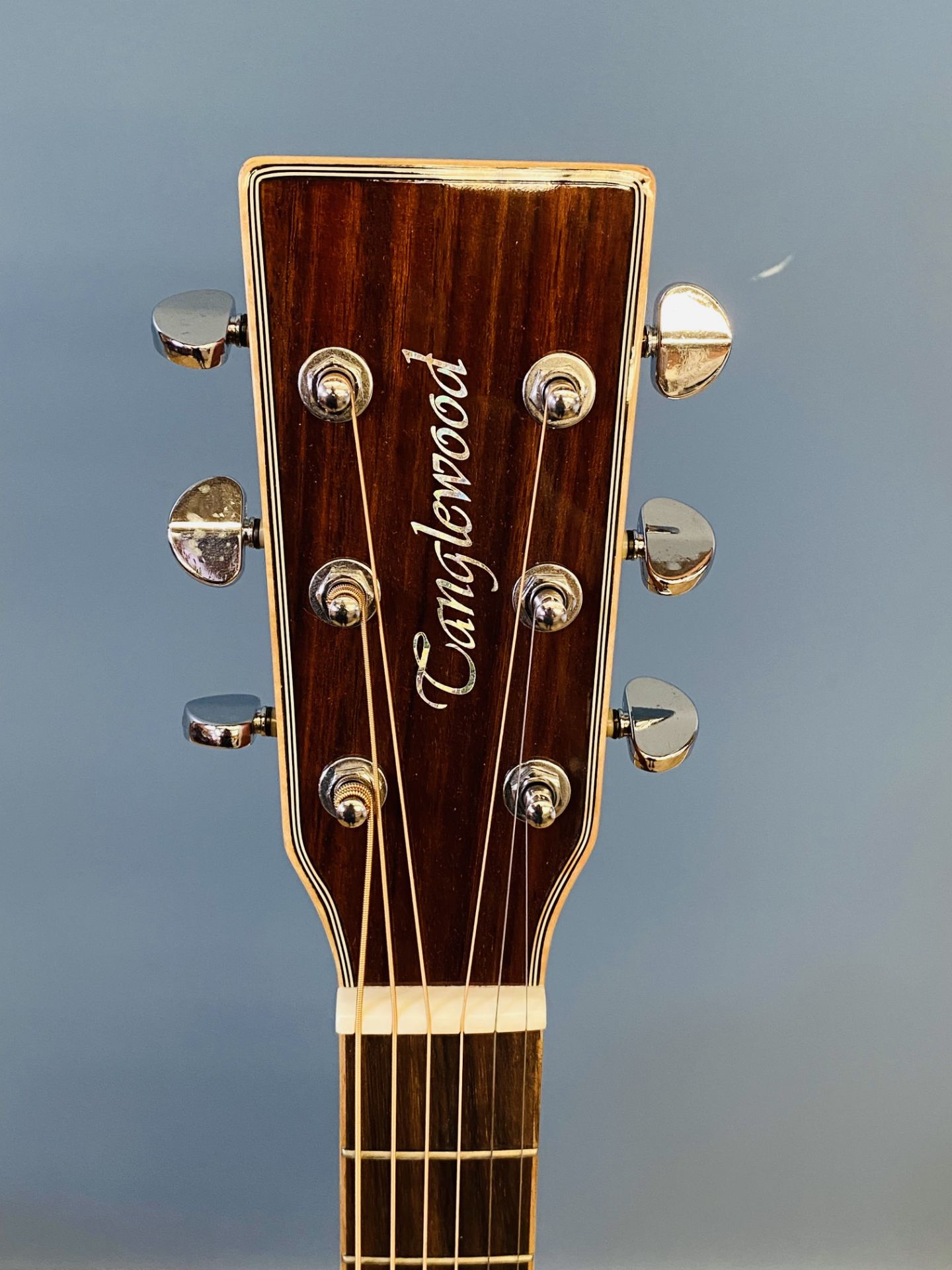 Tanglewood Evolution acoustic guitar - Image 2 of 5