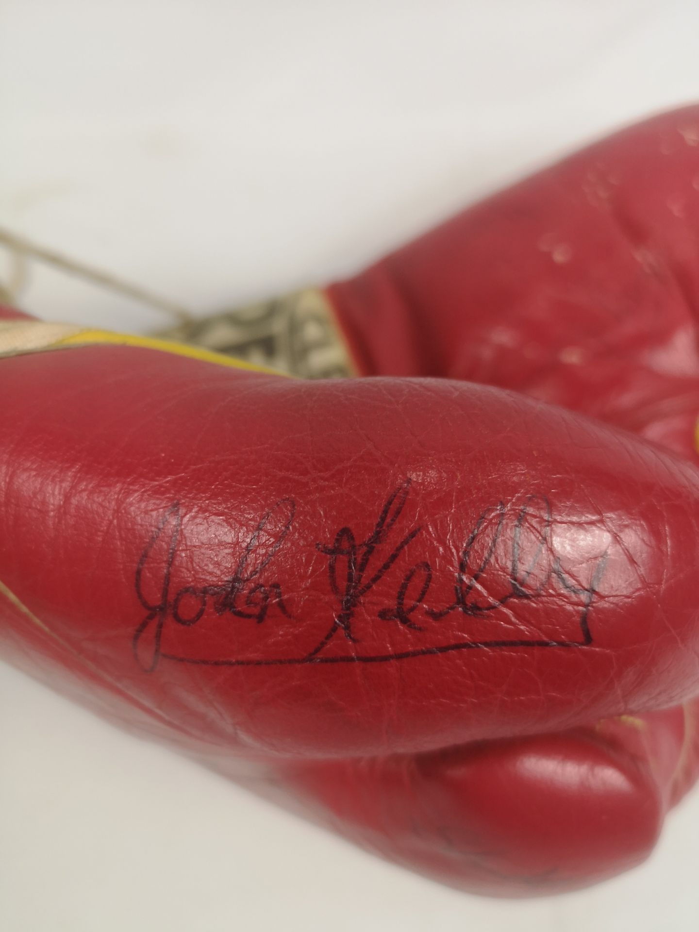 Pair of signed Cleto Reyes boxing gloves with approximately 17 signatures. - Image 4 of 9