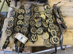 Quantity of horse brasses on martingales and straps