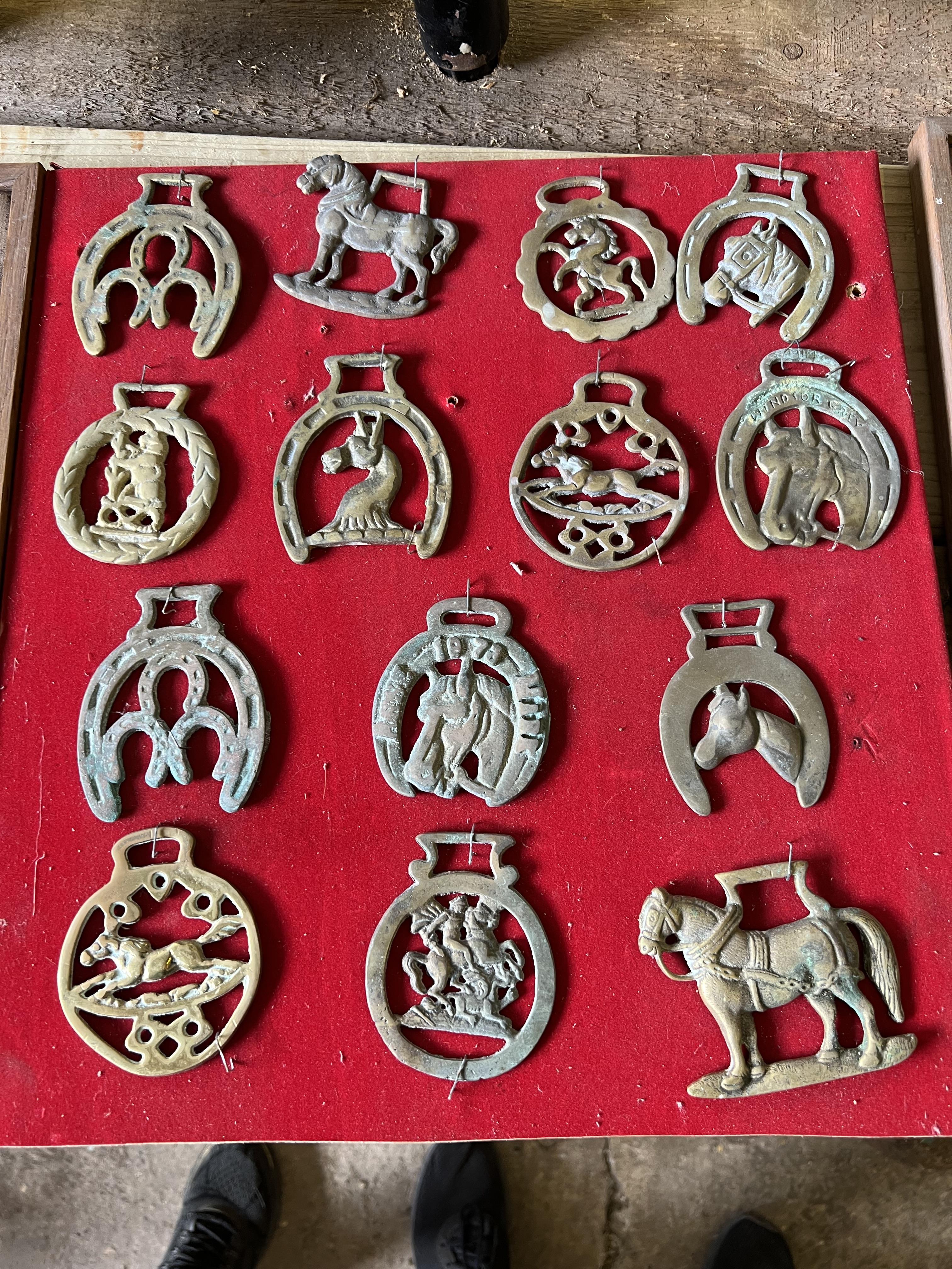64 horse brasses mounted on wooden boards - Image 3 of 7