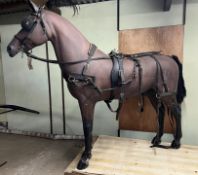 DISPLAY HORSE with harness