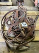 Part set of brown leather single harness