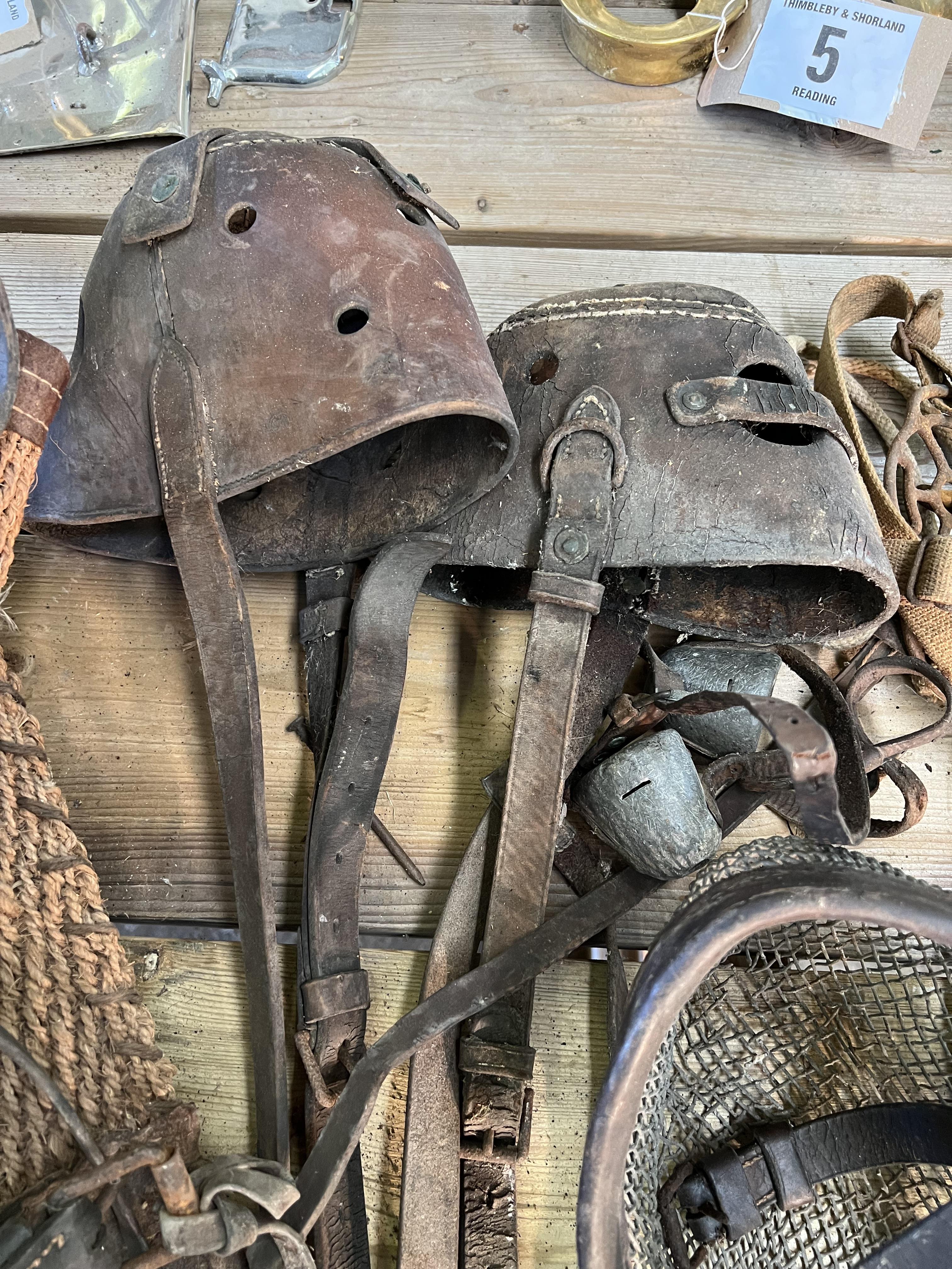 Nosebag, muzzles and spiked nosebands - Image 2 of 2