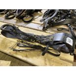 Set of black and brass stallion tack