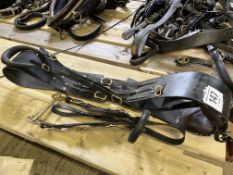Set of black and brass stallion tack