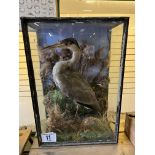 Taxidermy Heron in glass case. This lot carries VAT.
