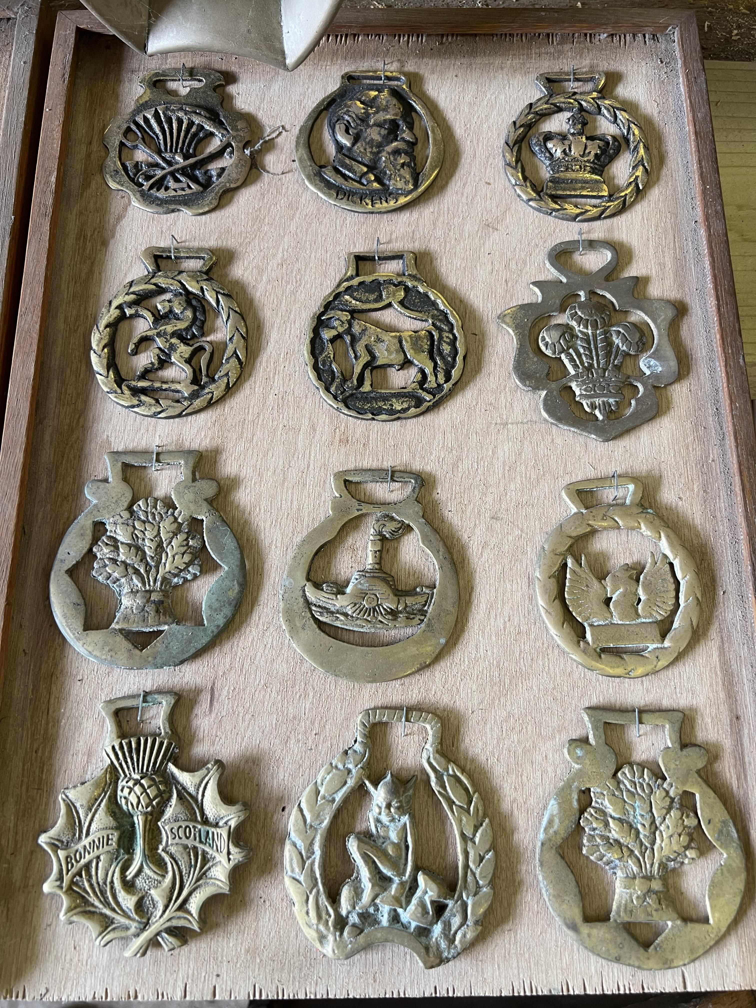 64 horse brasses mounted on wooden boards - Image 6 of 7