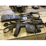 Set of Shire stallion tack