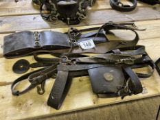 Set of Shire stallion tack