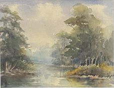 Framed and glazed painting of a wooded lake