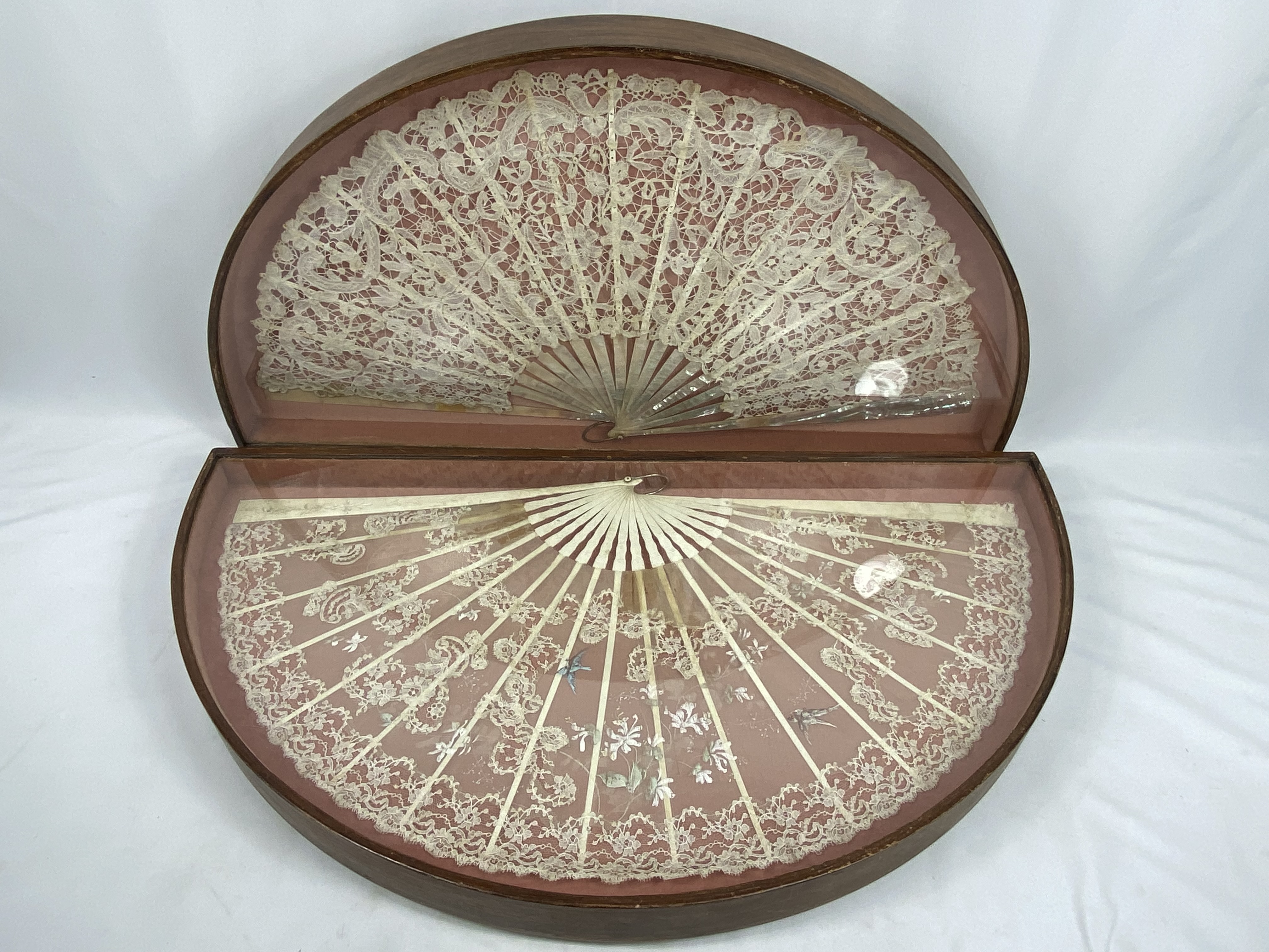 Two lace fans in display cases