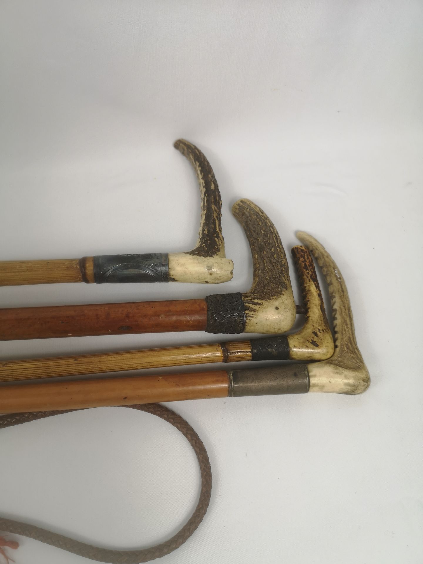 Four riding crops with horn handles, one with silver ferrule. - Image 4 of 4