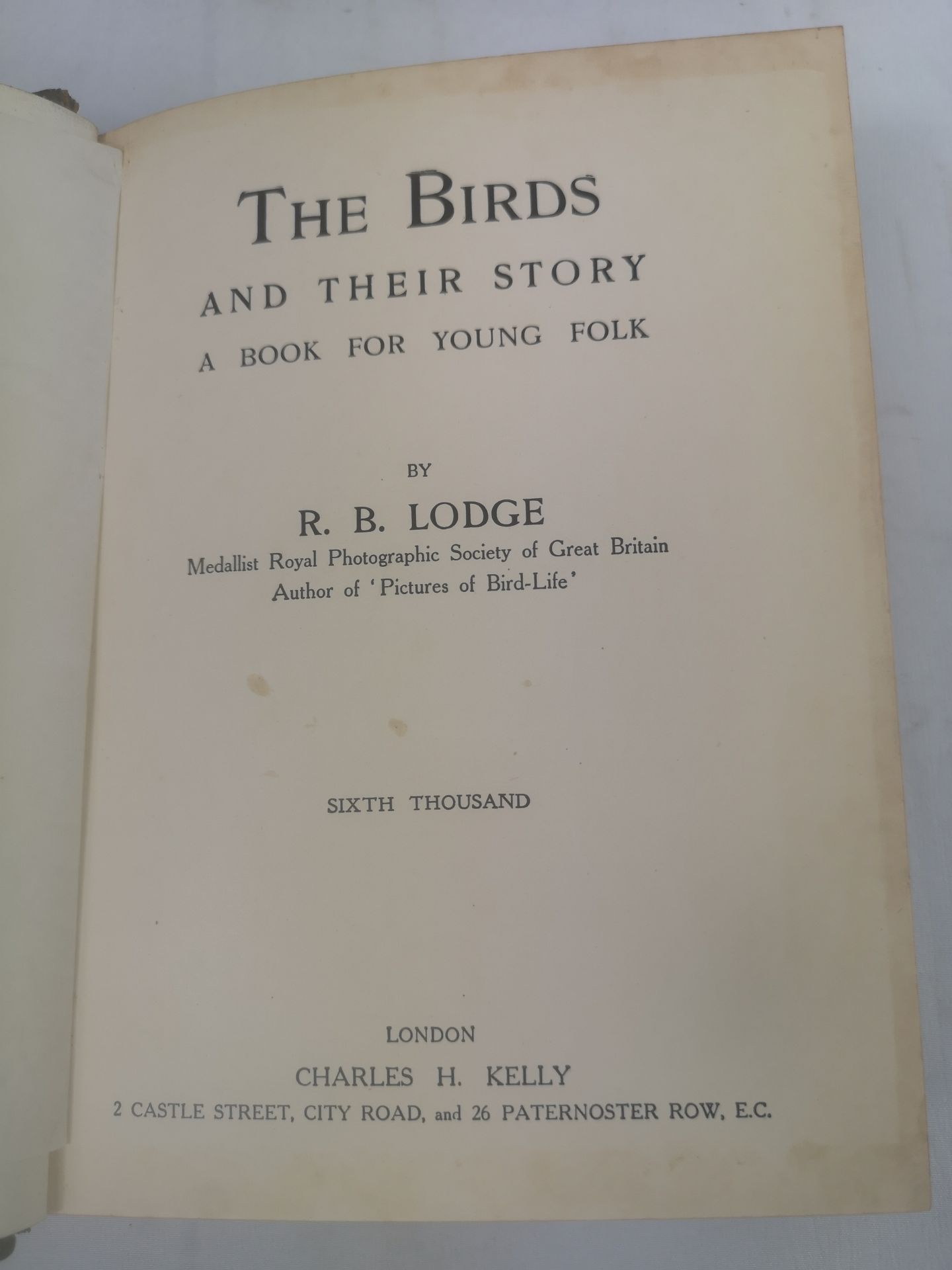 The Birds and their Story by R.B. Lodge; Insects their Life Histories and Habits by Harold Bastin - Image 5 of 5