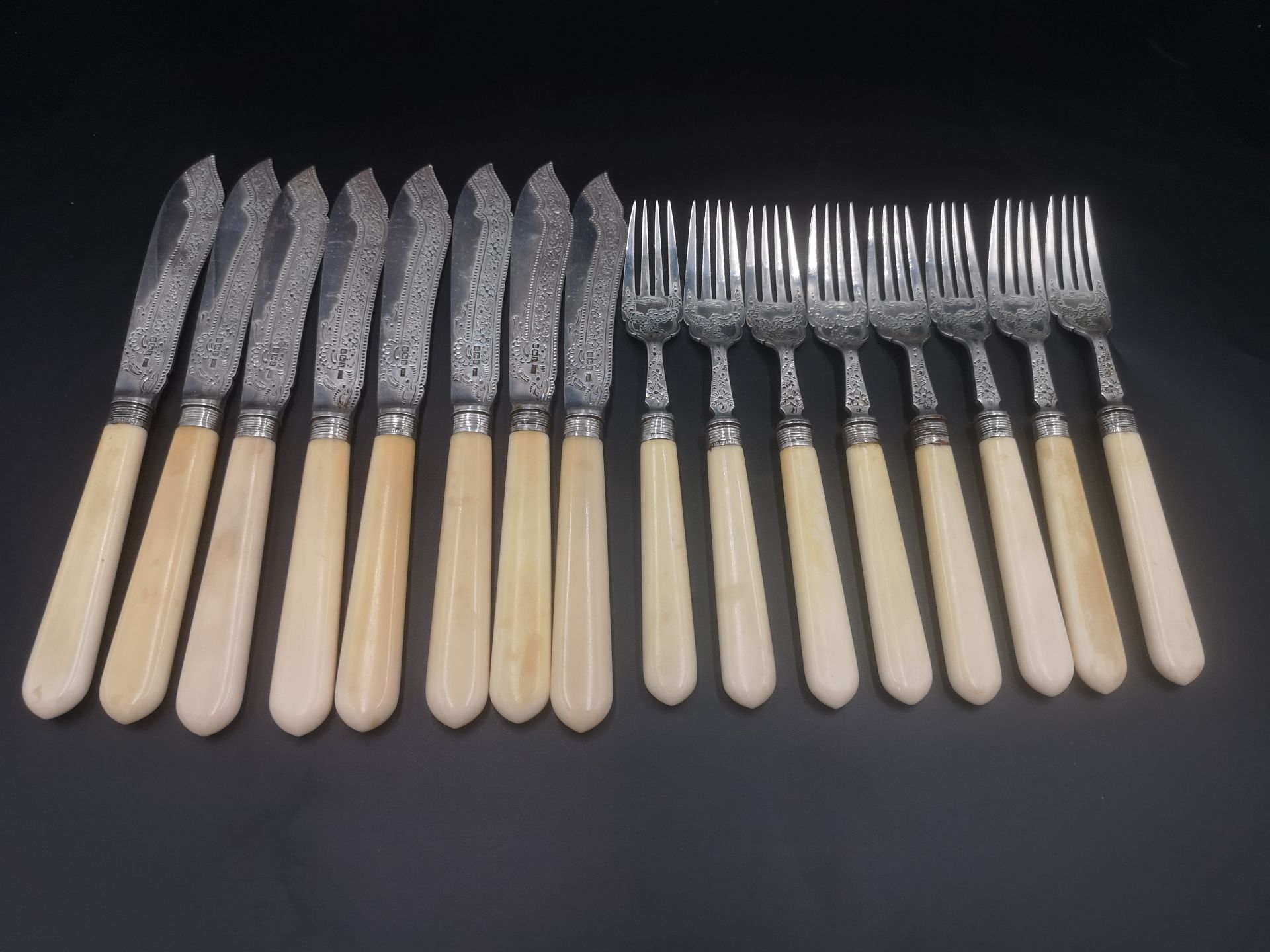 Eight place setting of fish knives and forks with silver blades and forks