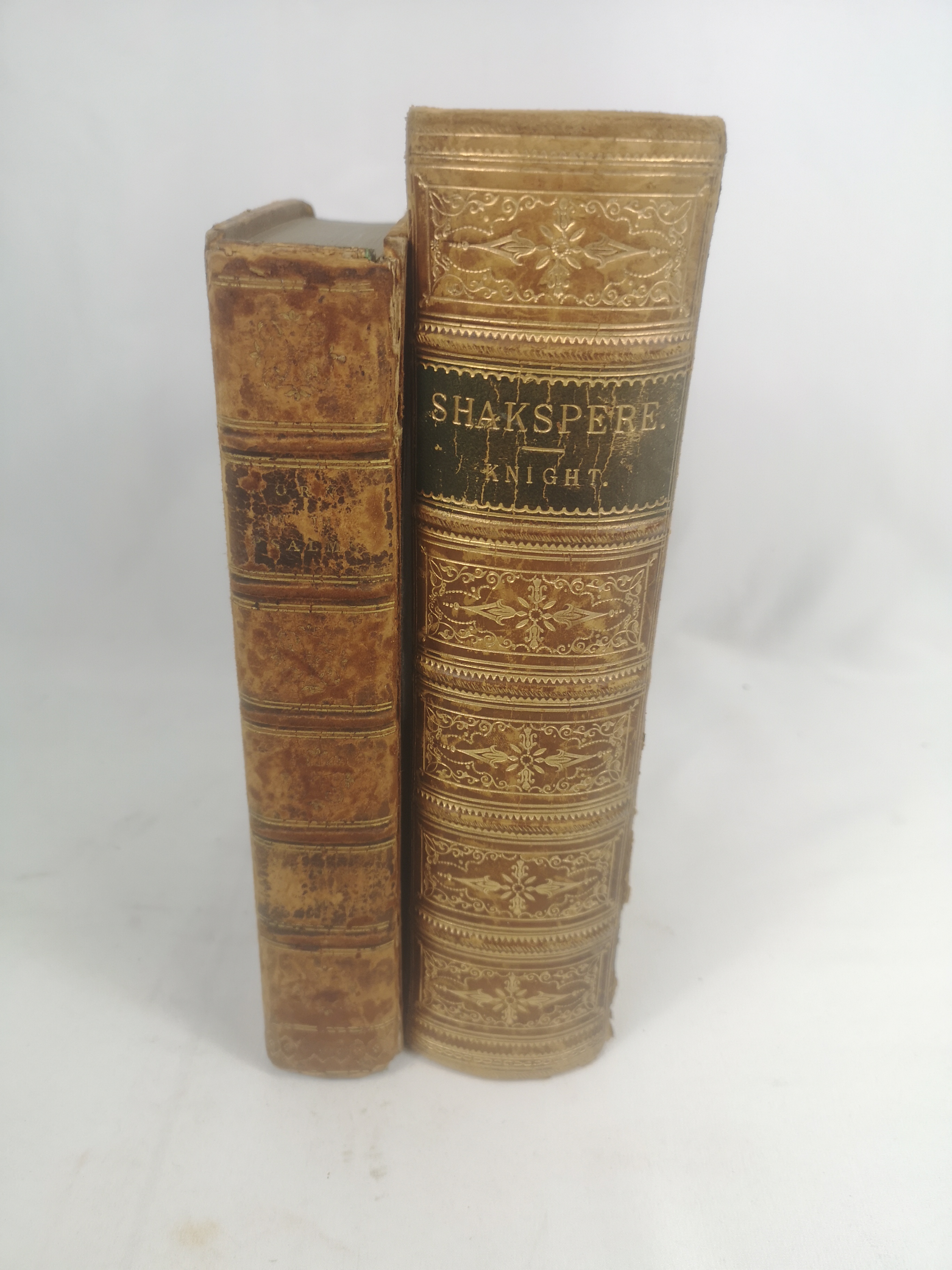 The Works of William Shakespeare, 1866; A Commentary of The Book of Psalms Volume II