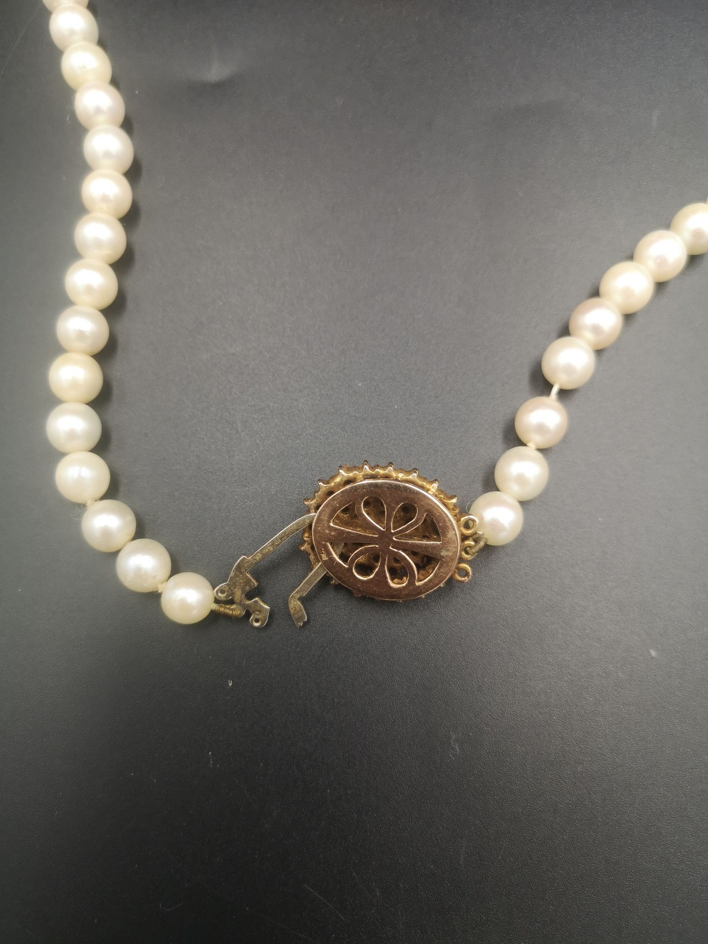 Cameo brooch together with a pearl necklace - Image 4 of 5