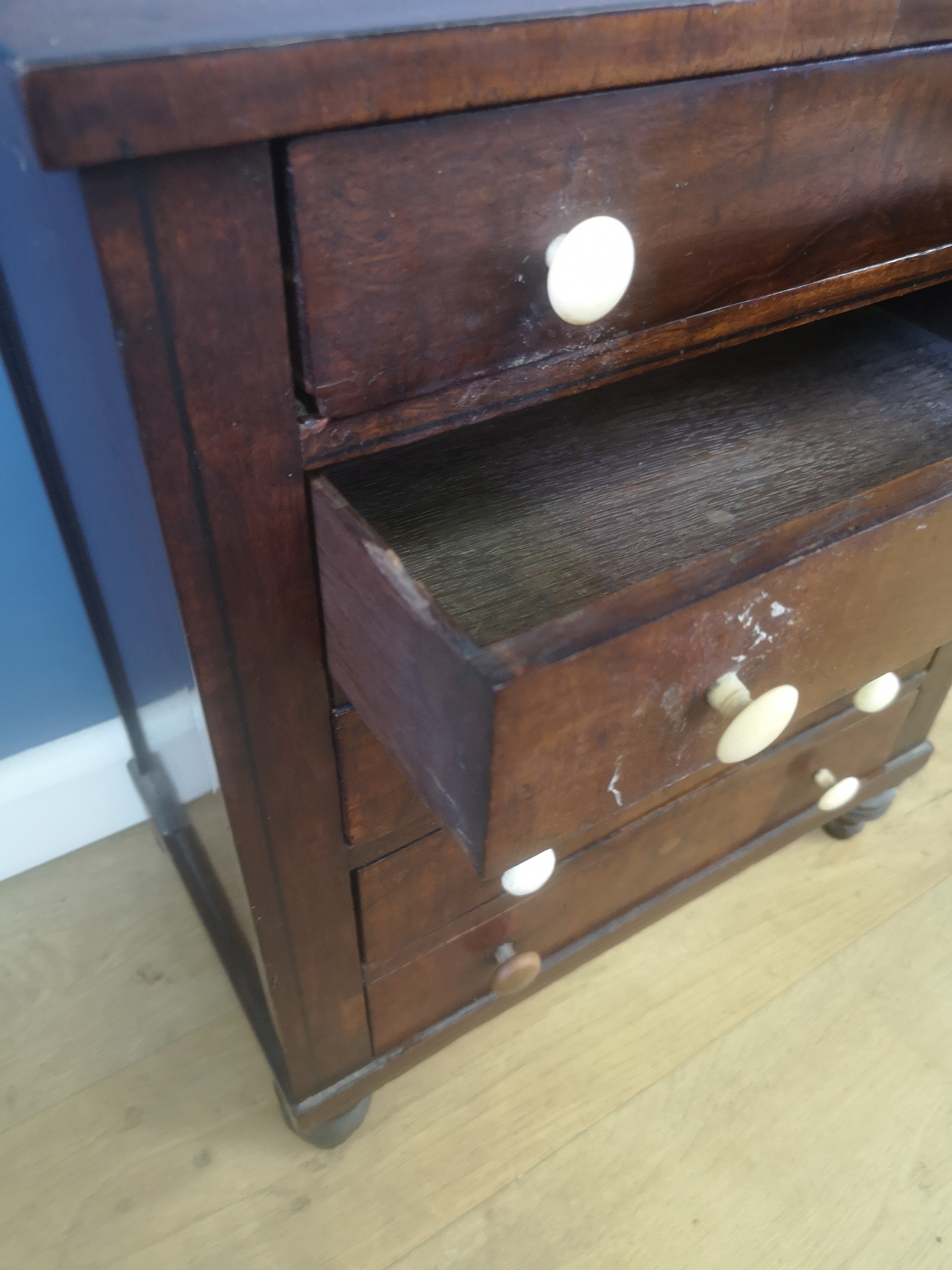 Victorian mahogany collectors cabinet - Image 4 of 5