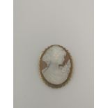 Cameo shell brooch