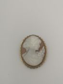 Cameo shell brooch