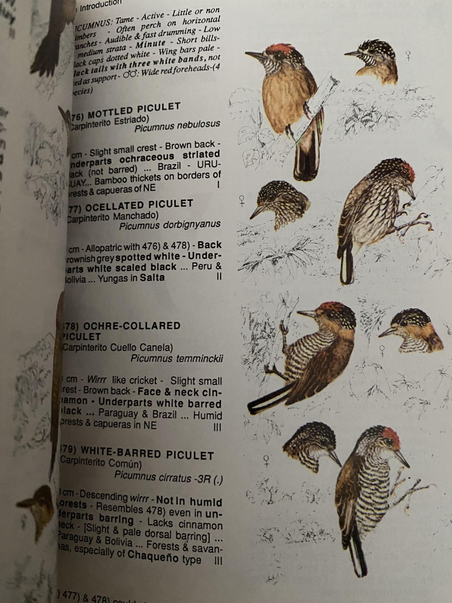 Quantity of books on birds - Image 3 of 3