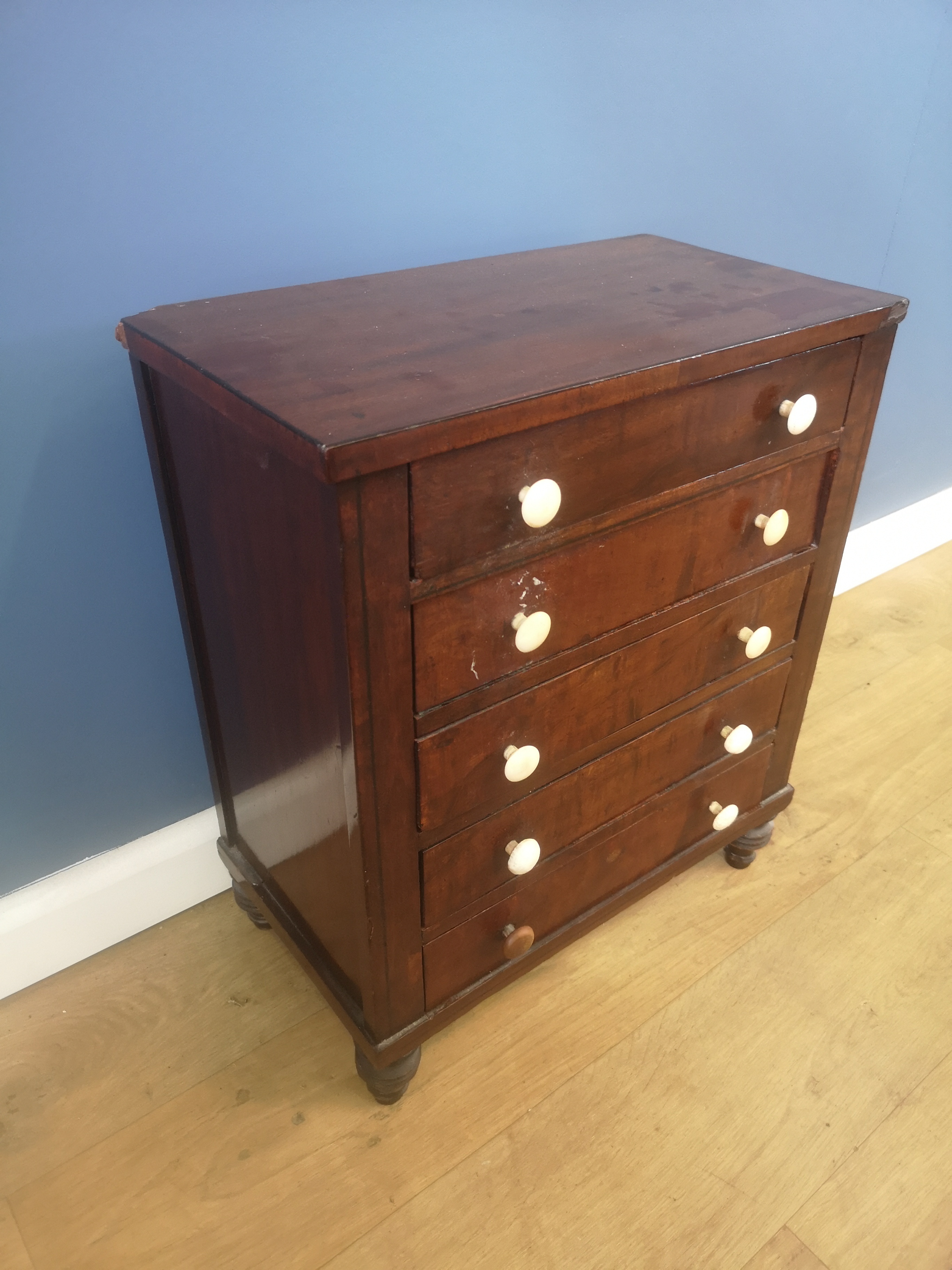 Victorian mahogany collectors cabinet - Image 3 of 5