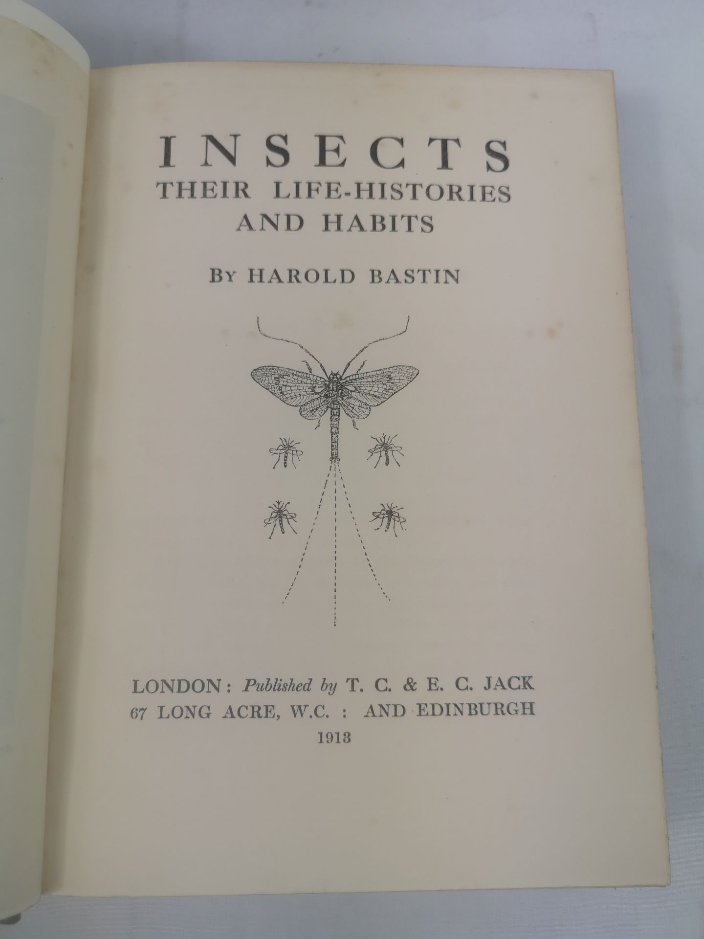 The Birds and their Story by R.B. Lodge; Insects their Life Histories and Habits by Harold Bastin - Image 2 of 5