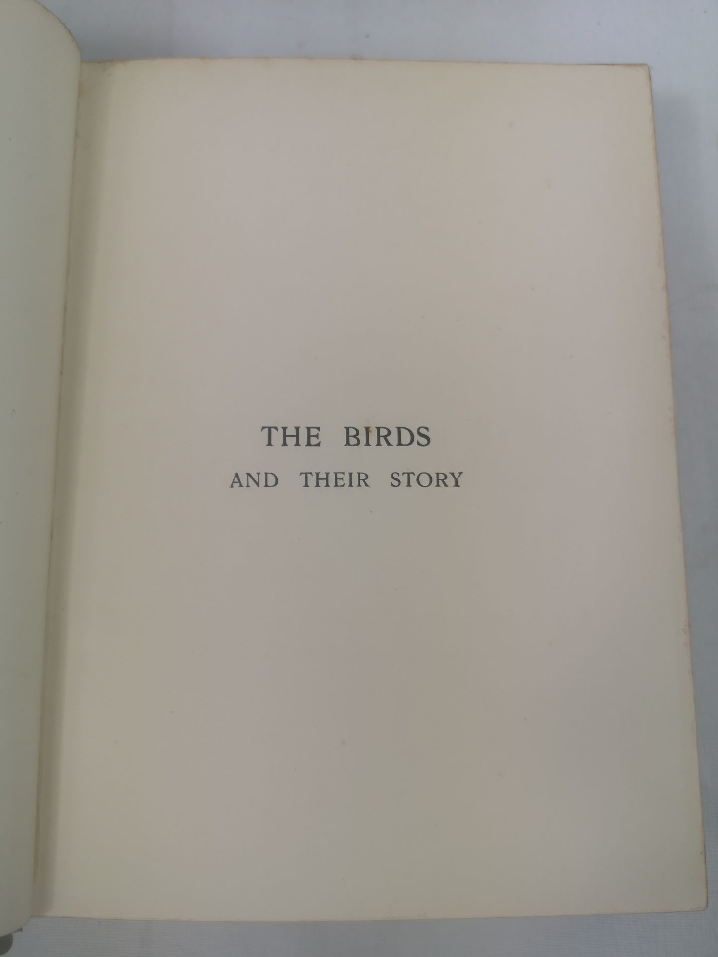 The Birds and their Story by R.B. Lodge; Insects their Life Histories and Habits by Harold Bastin - Image 4 of 5