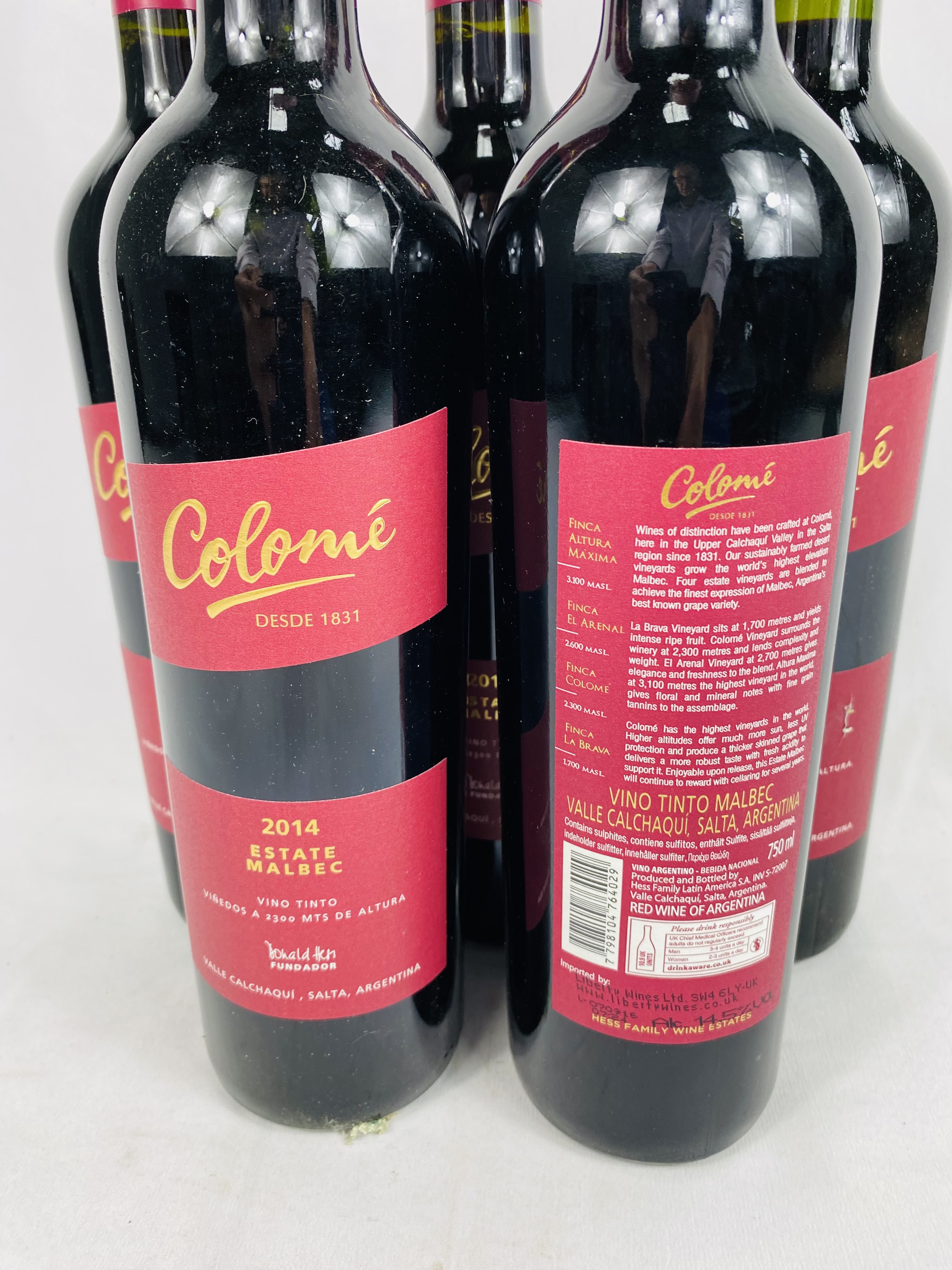 Five 750ml bottles of Estate Malbec Colomé, Argentina, 2014 - Image 2 of 3