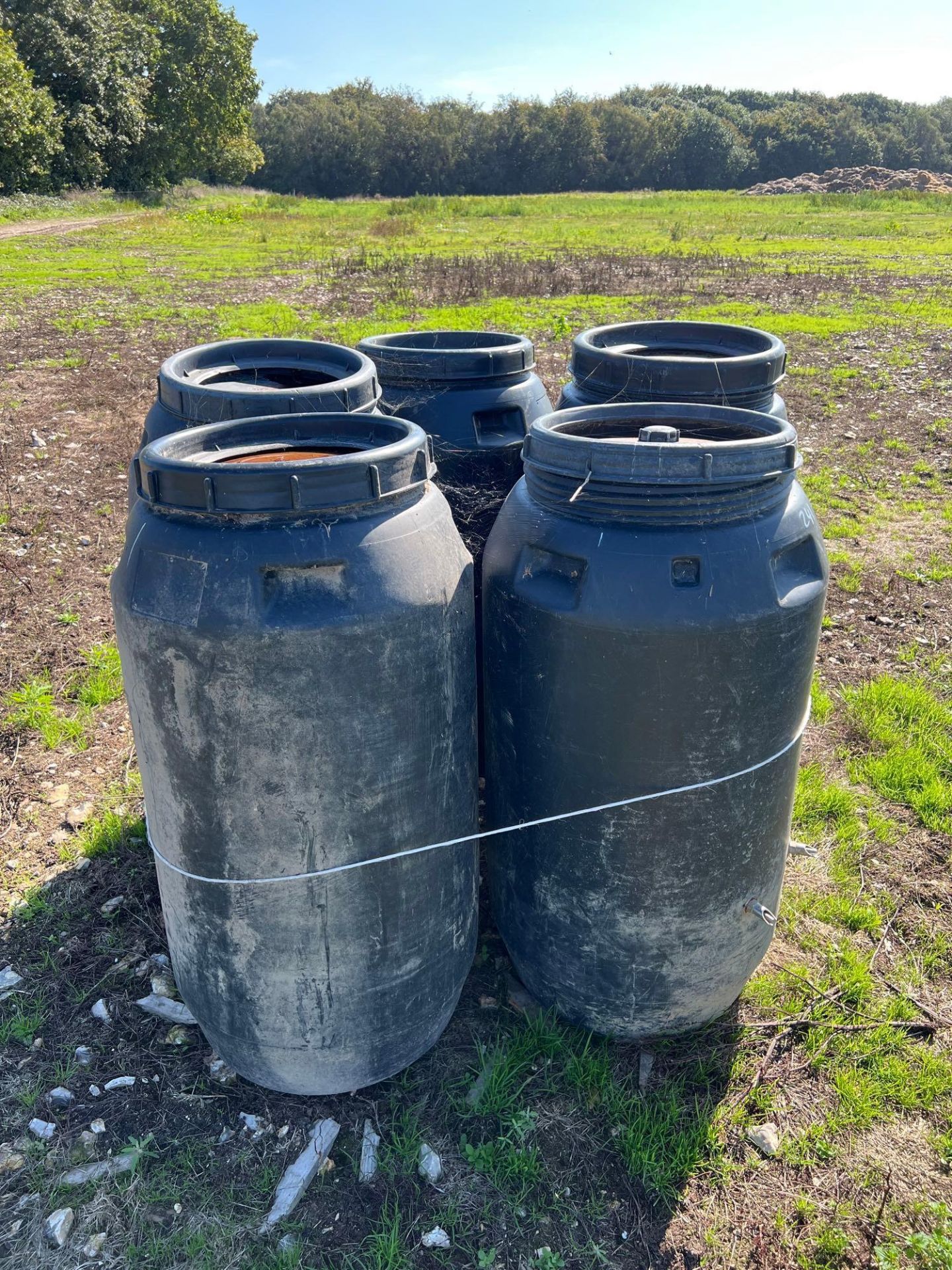 5 plastic 40 gallon drums with nipple drinkers