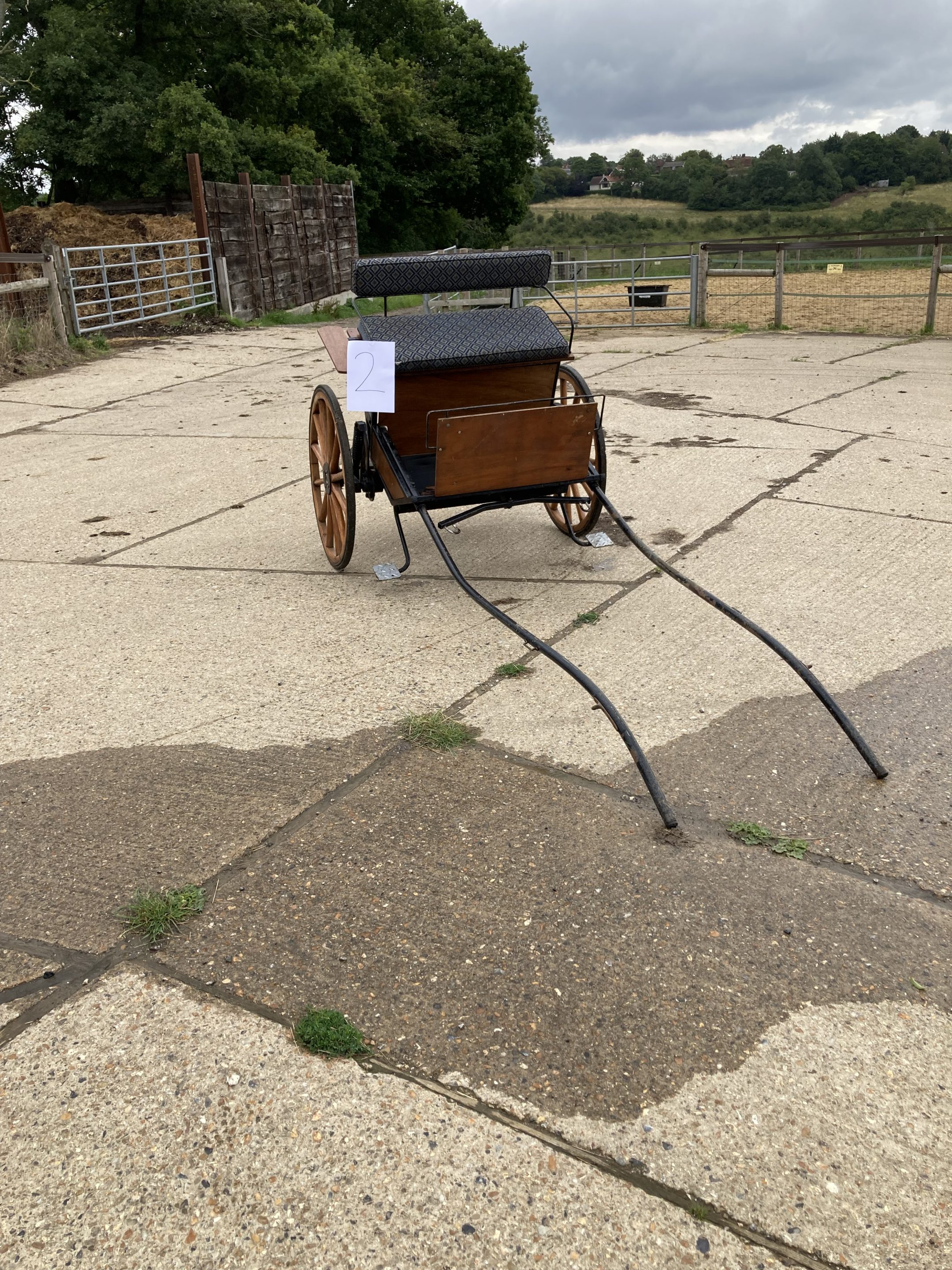 TWO WHEEL EXERCISE CART to suit a pony, the body of varnished wood with black painted metal frame