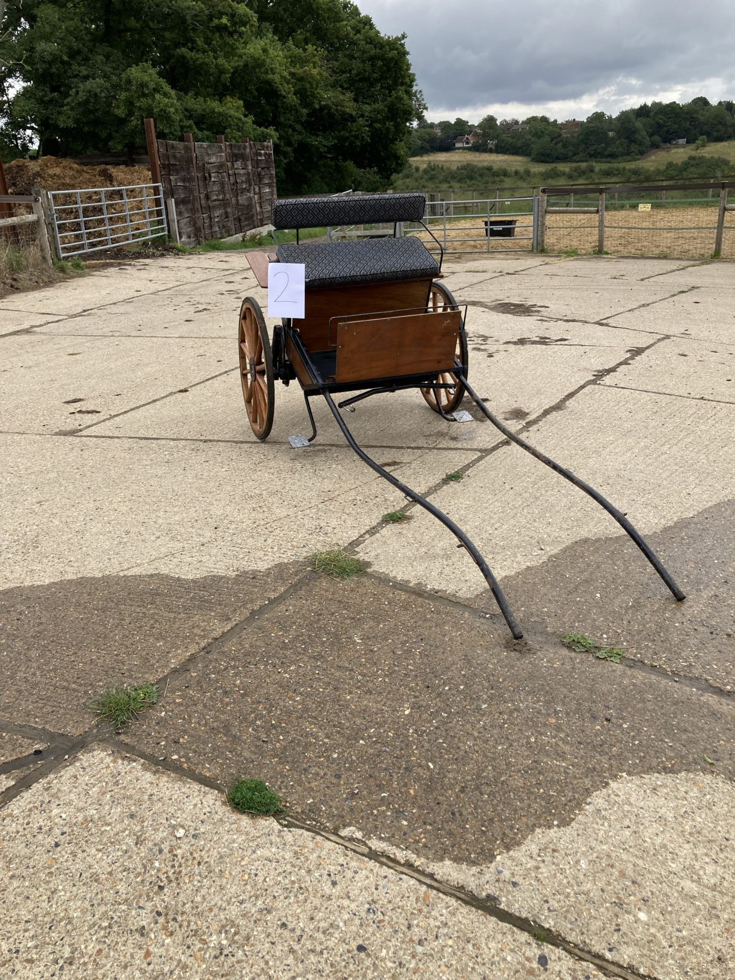 TWO WHEEL EXERCISE CART to suit a pony, the body of varnished wood with black painted metal frame