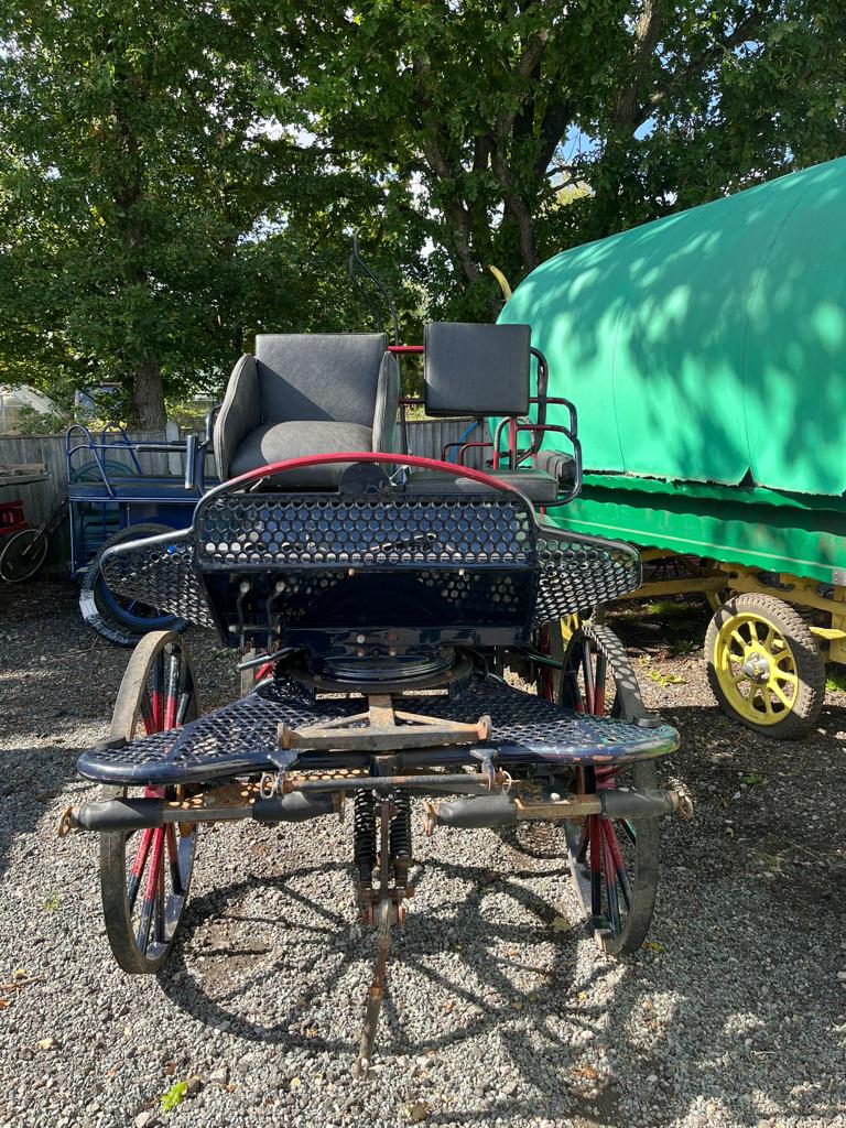 MARATHON/EXERCISE VEHICLE to suit 16hh pair or team. Painted blue and red with black vinyl - Image 3 of 3