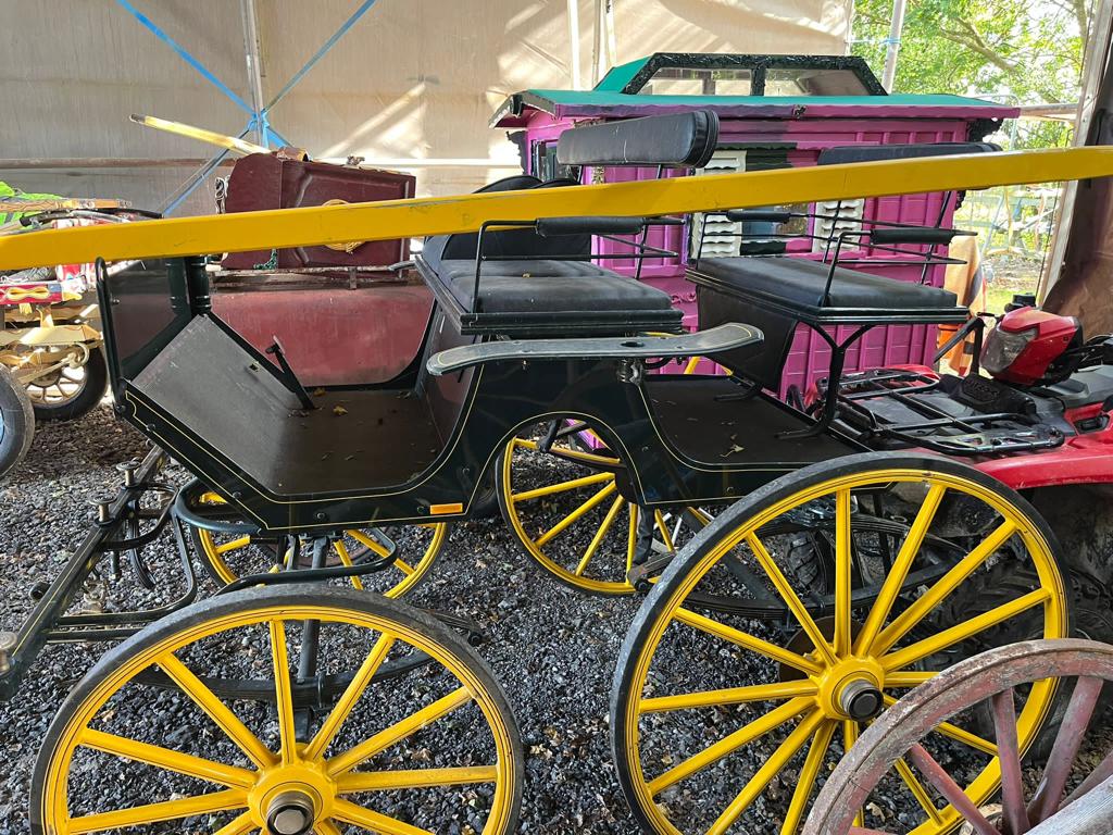 PRESENTATION PHAETON to suit 15hh single or pair. Painted black with white lining on yellow 12 and