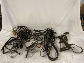 Miscellaneous riding bridles and equipment