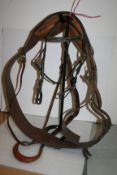 Leather roller, side reins and inhand bridle