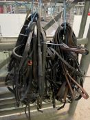 10 riding bridles pony and cob size
