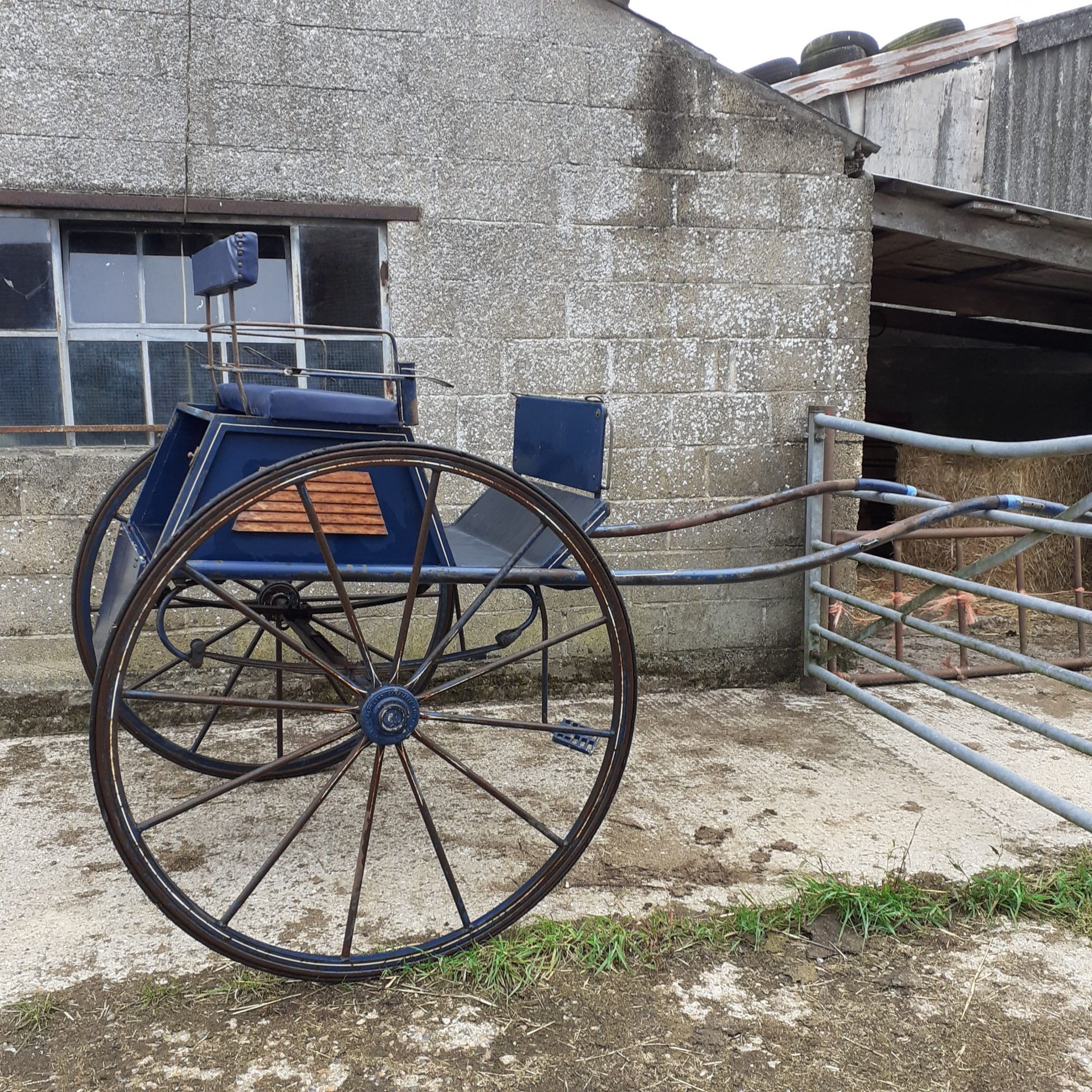 DOG CART built by Crowland Carriages of Peterborough in 1984 to suit a 15hh single. The body is