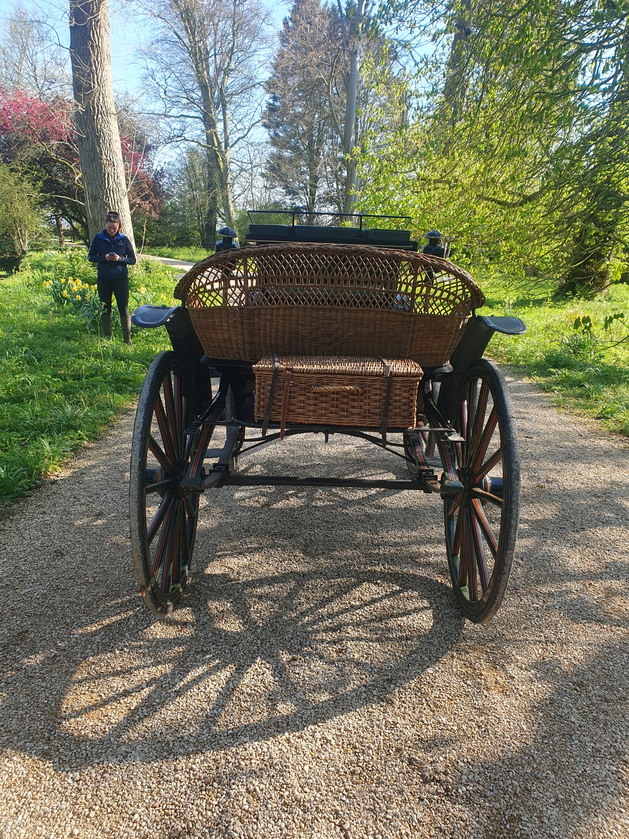 VICTORIA to suit 14 to 15hh single. Painted black on 12 and 14 spoke rubber tyred wheels painted - Image 3 of 5