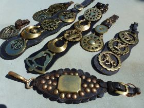 Thirteen martingales and other straps with brasses