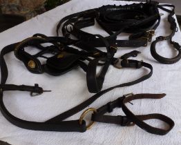 Black leather harness comprising pad, crupper, bridle, traces, breeching and backstrap.