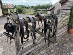 John Mcdonald's patent leather breast show harness for a 12.2/13hh.