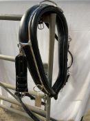 Pair of black collars with white metal hames 23". This lot carries VAT