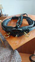 Cob size leather single harness.
