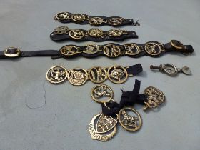 21 miniature brasses suitable for Shetland pony decorations.