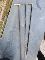 Three antler handled canes