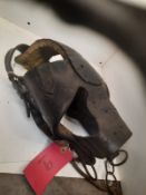 Antique pit pony bridle